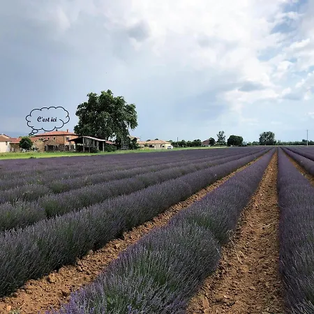 Les Vieilles Pierres Dromoises Alixan