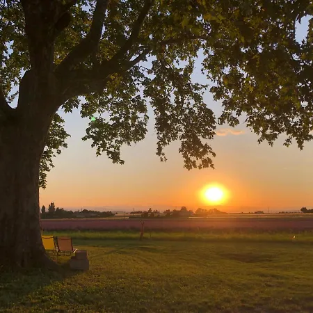 Les Vieilles Pierres Dromoises Alixan